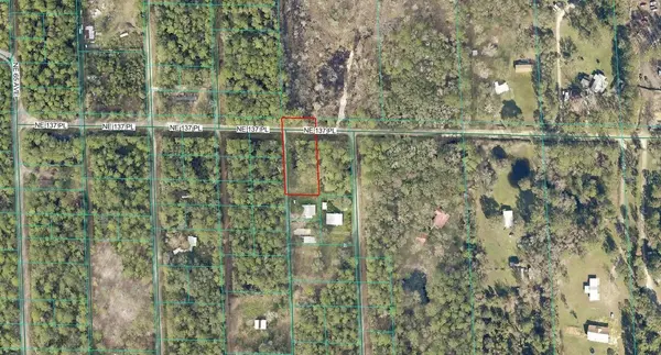 TBD NE 137TH PL, Citra, FL 32113