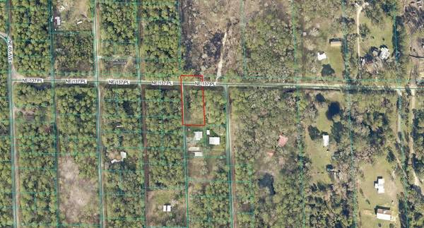 TBD NE 137TH PL, Citra, FL 32113