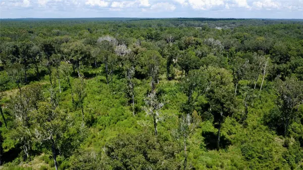 US HWY 27, Ocala, FL 34482
