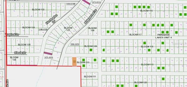 205 SIESTA DR, Georgetown, FL 32139