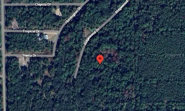 205 SIESTA DR, Georgetown, FL 32139