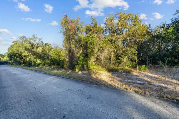 TBD SW 174 PL, Ocala, FL 34473