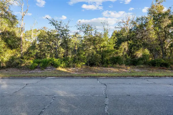 TBD SW 174 PL, Ocala, FL 34473
