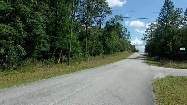 SW 207TH CT, Dunnellon, FL 34431