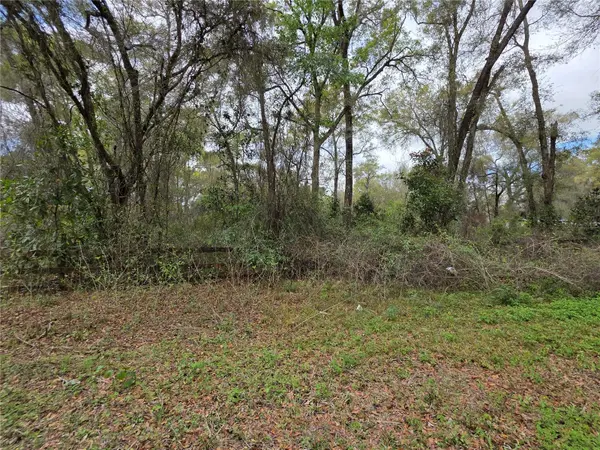 00 SE 30TH AVE, Summerfield, FL 34491