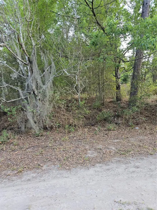 TBD SW 27 ST, Ocala, FL 34481