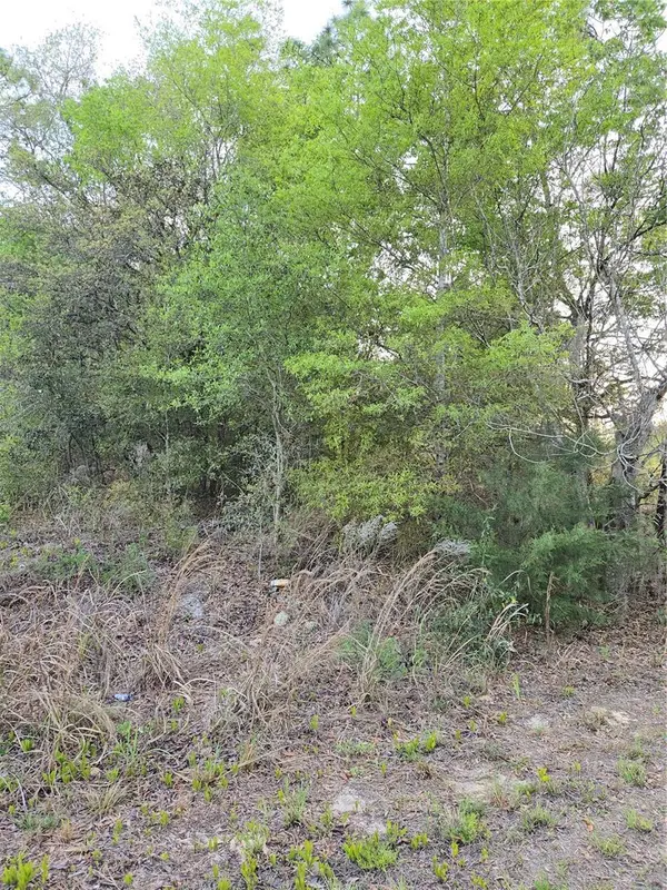 TBD SW 27 ST, Ocala, FL 34481