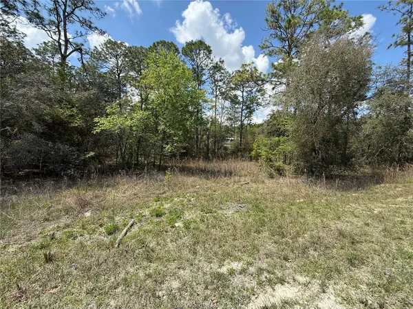TBD SE 150TH AVE, Morriston, FL 32668