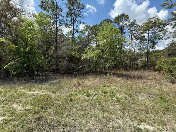 TBD SE 150TH AVE, Morriston, FL 32668