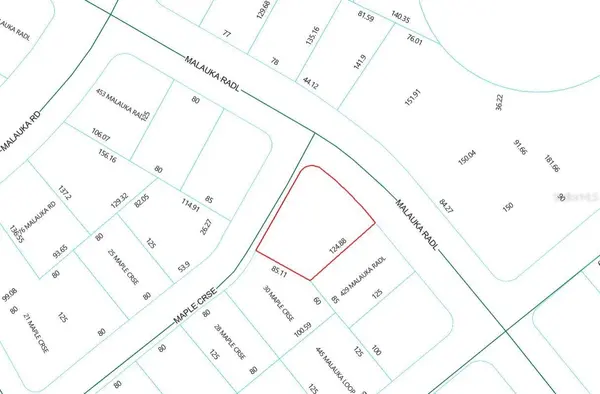 Lot 1 MALUKA RADL, Ocklawaha, FL 32179