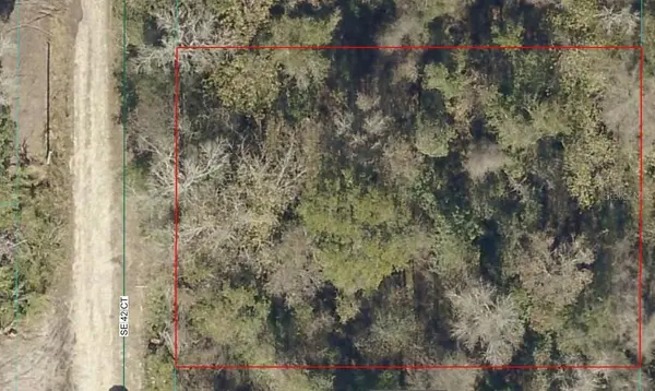 0000 SE 42ND CT, Belleview, FL 34420