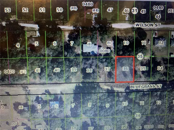 2406 BLUEGRASS ST, Inverness, FL 34453