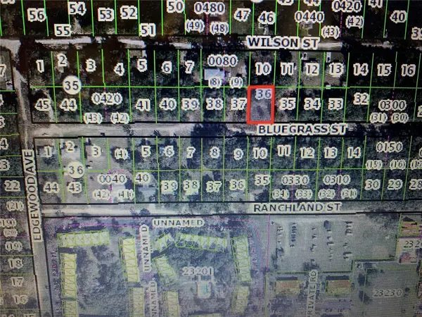 2406 BLUEGRASS ST, Inverness, FL 34453