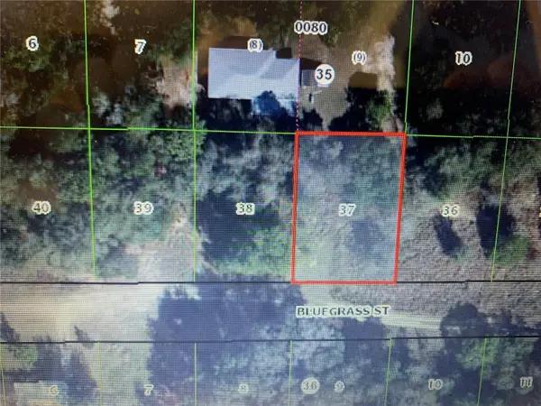 2408 BLUEGRASS ST, Inverness, FL 34453