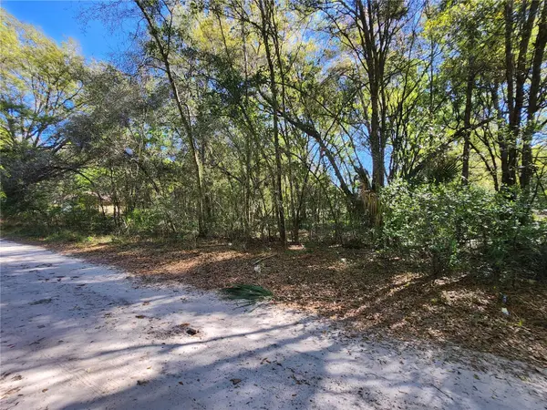 TBD SE 36TH CT, Summerfield, FL 34491