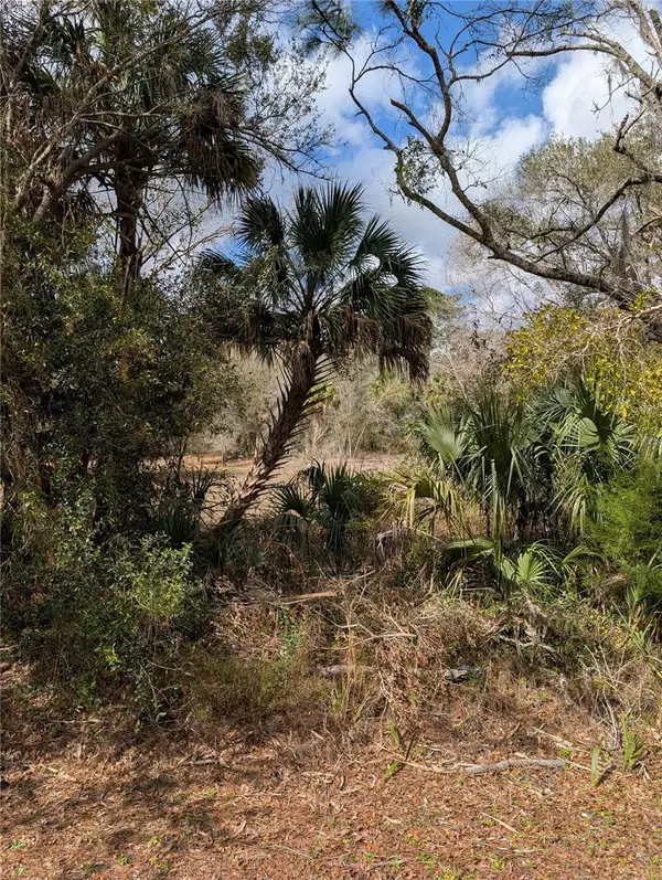 LORIE ST, Inglis, FL 34449