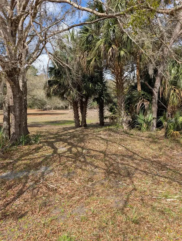 LORIE ST, Inglis, FL 34449
