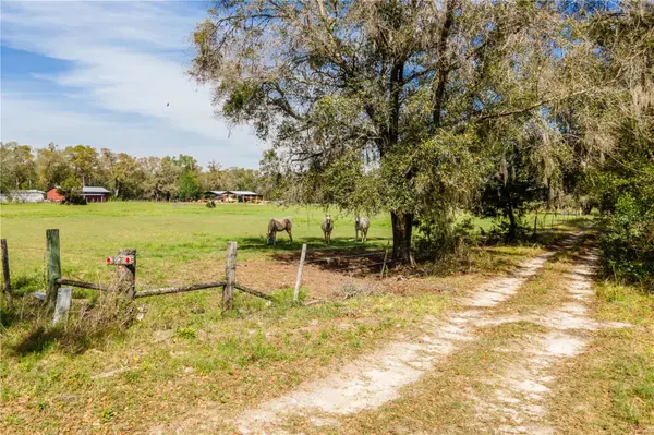 TBD SW 298 ST, Newberry, FL 32669