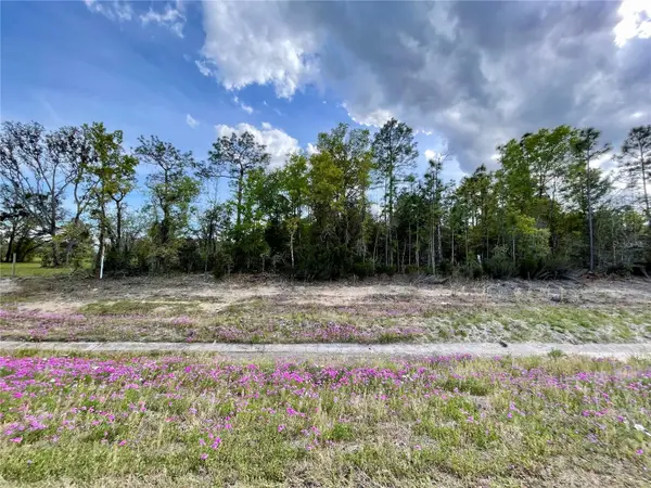 TBD NE HIGHWAY 27 ALT, Williston, FL 32696