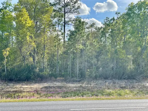 TBD NE HIGHWAY 27 ALT, Williston, FL 32696