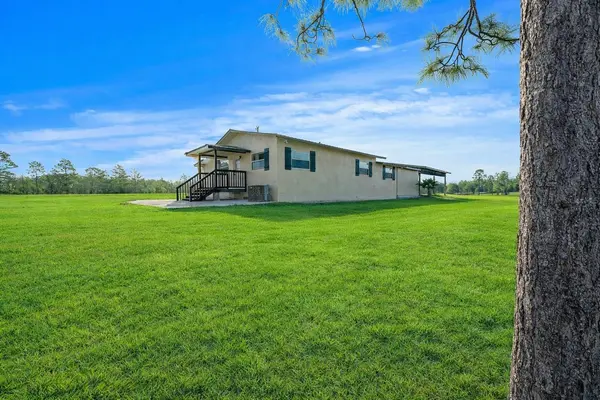 12451 NE 20TH ST, Williston, FL 32696
