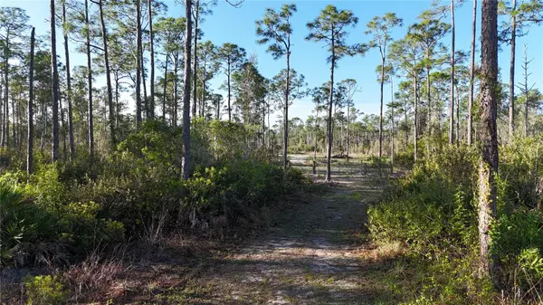 14350 BURNT STORE RD, Punta Gorda, FL 33955