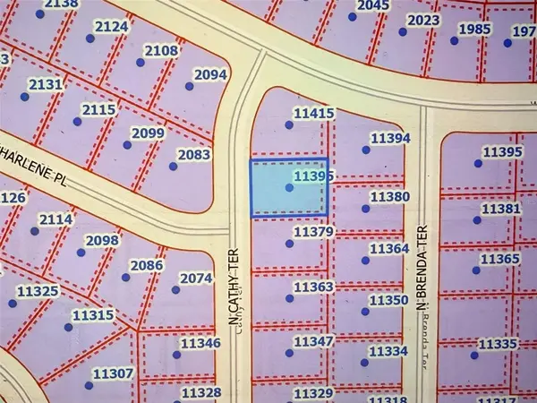 11395 N CATHY TER, Citrus Springs, FL 34434