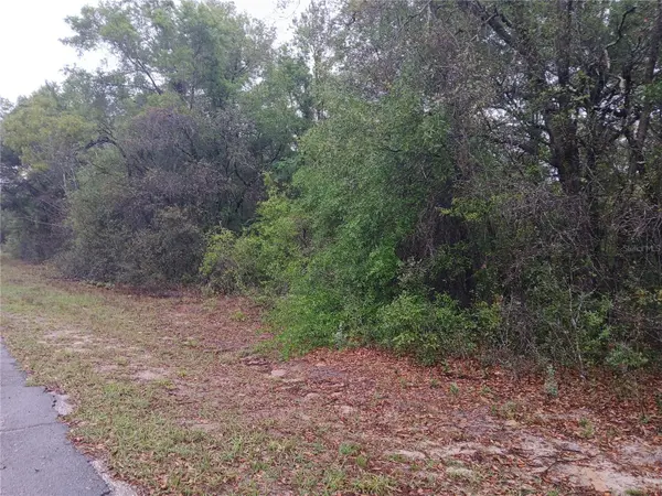 7851 N VINCE DR, Citrus Springs, FL 34434