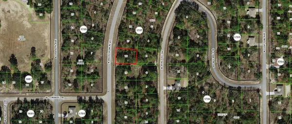 Address not disclosed, Dunnellon, FL 34434