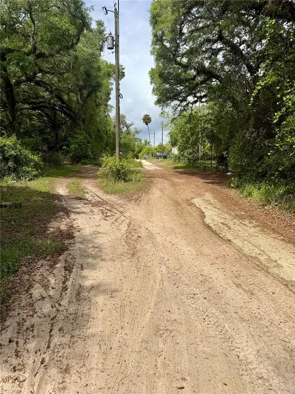 TBD NE 130 PL, Salt Springs, FL 32134