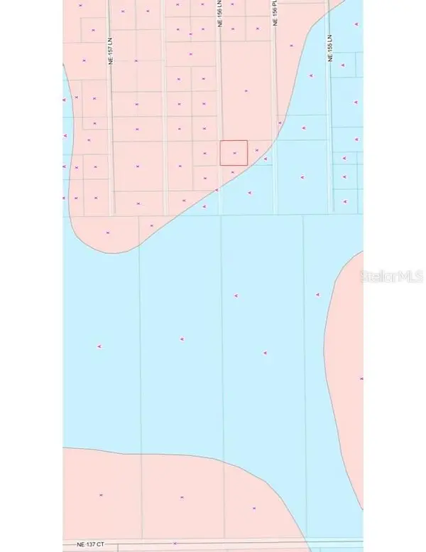 TBD NE 156 LN, Fort Mc Coy, FL 32134