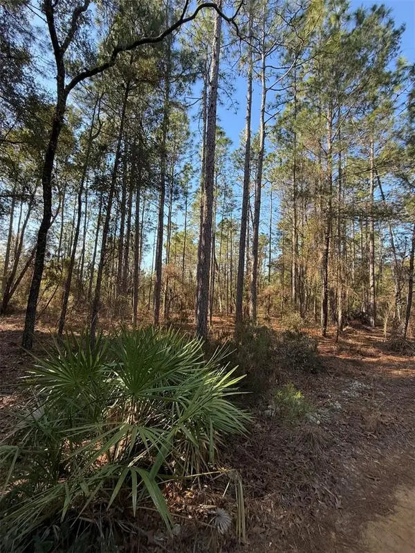 TBT 5TH WAY, Interlachen, FL 32148