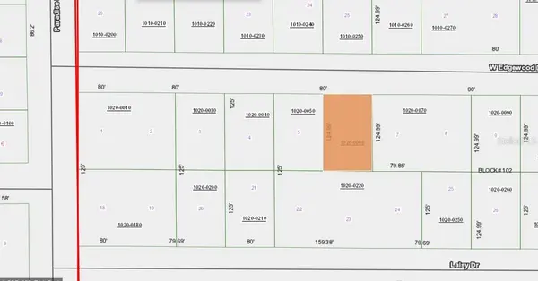 111 EDGEWOOD DR, Georgetown, FL 32139