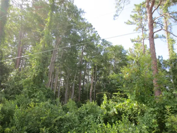 14655 NE 14TH STREET RD, Silver Springs, FL 34488