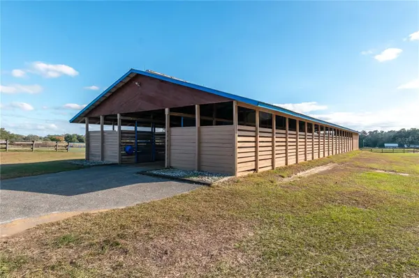 5100 W HWY 329, Reddick, FL 32686