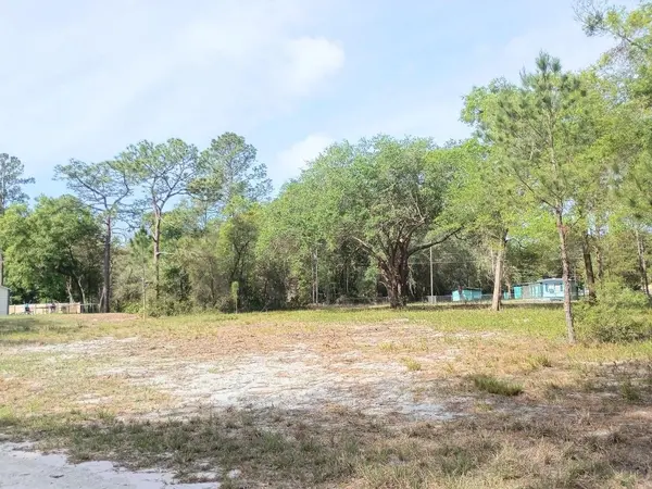 NE 141ST CT, Fort Mc Coy, FL 32134