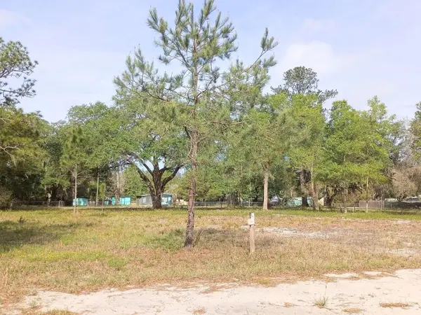 NE 141ST CT, Fort Mc Coy, FL 32134
