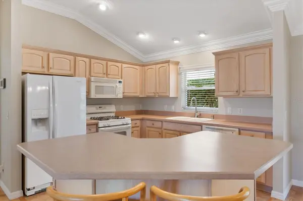 1982 SOMERSET AVE, The Villages, FL 32162