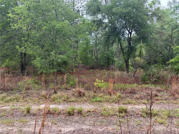 0000 SW 19TH PL, Ocala, FL 34481