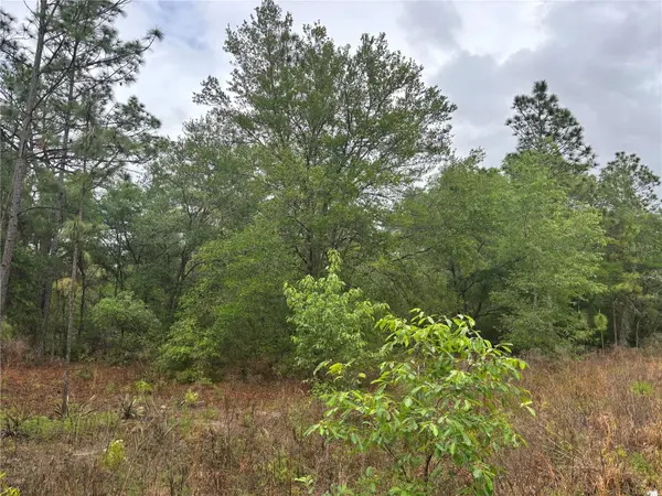 0000 SW 19TH PL, Ocala, FL 34481