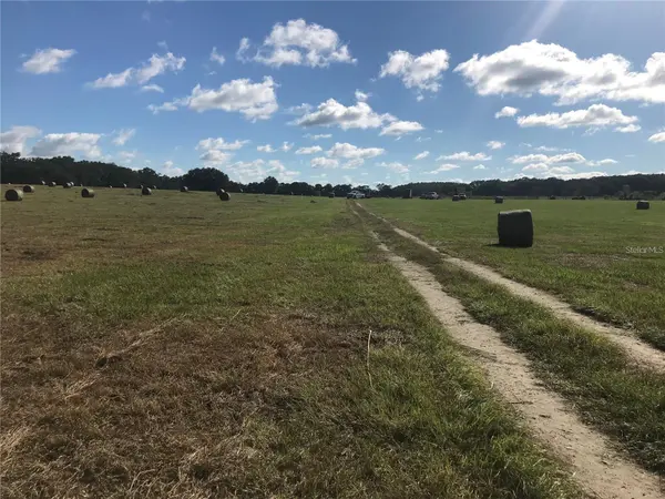 TBD NW 133RD, Reddick, FL 32686