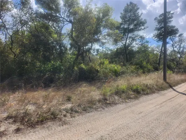 TBD NE 236 LN, Orange Springs, FL 32182