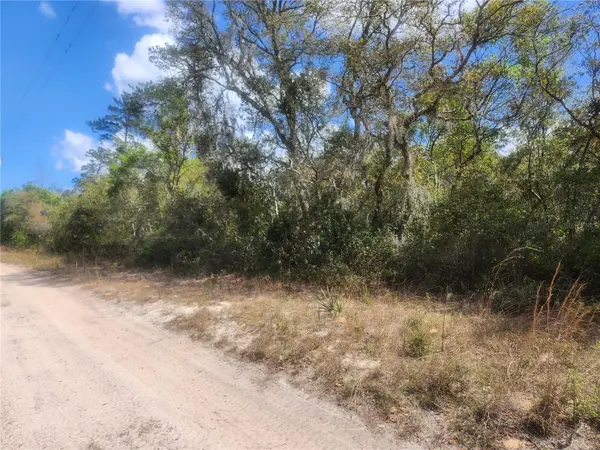 TBD NE 236 LN, Orange Springs, FL 32182