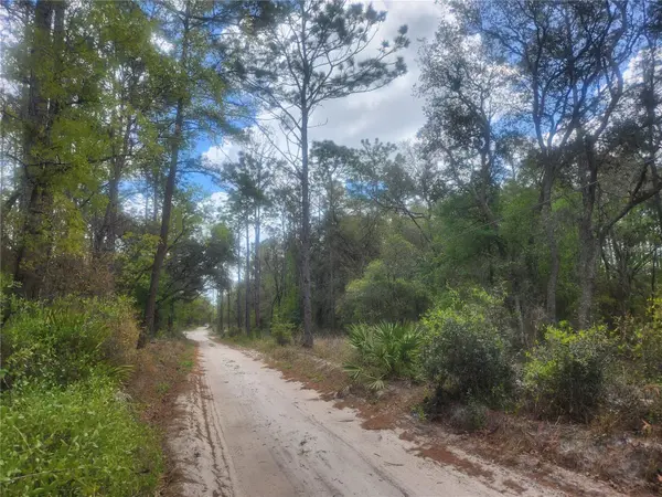 7446 SW 151ST PL, Dunnellon, FL 34432