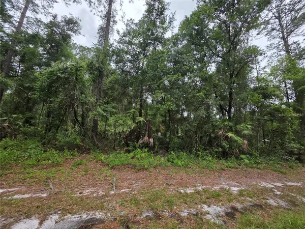 00 NE 66TH CT, Citra, FL 32113