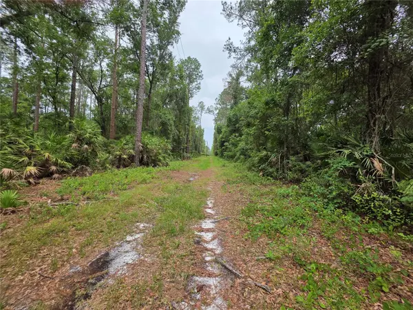 00 NE 66TH CT, Citra, FL 32113