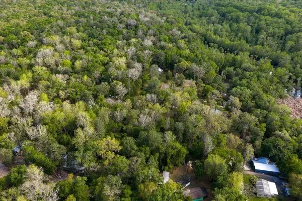 TBD NE 189TH ST, Fort Mc Coy, FL 32134