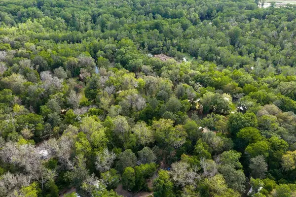 TBD NE 189TH ST, Fort Mc Coy, FL 32134