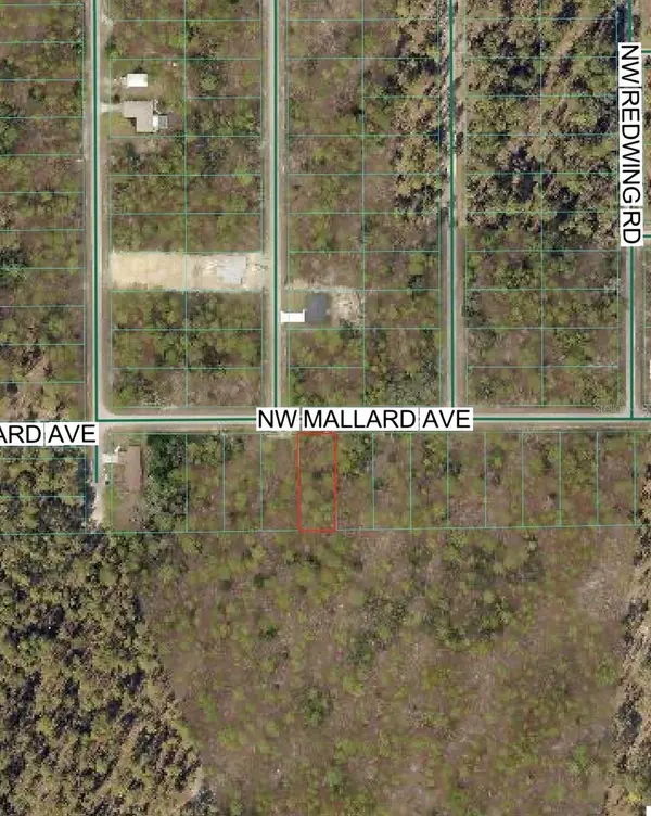 NW MALLARD AVE,  Dunnellon,  FL 34431