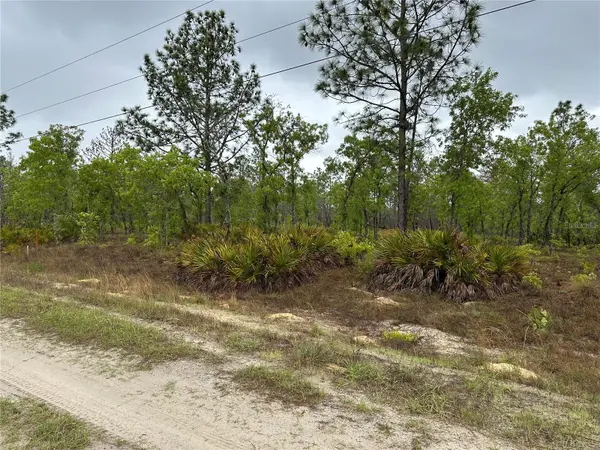 SW 95TH PL, Dunnellon, FL 34432